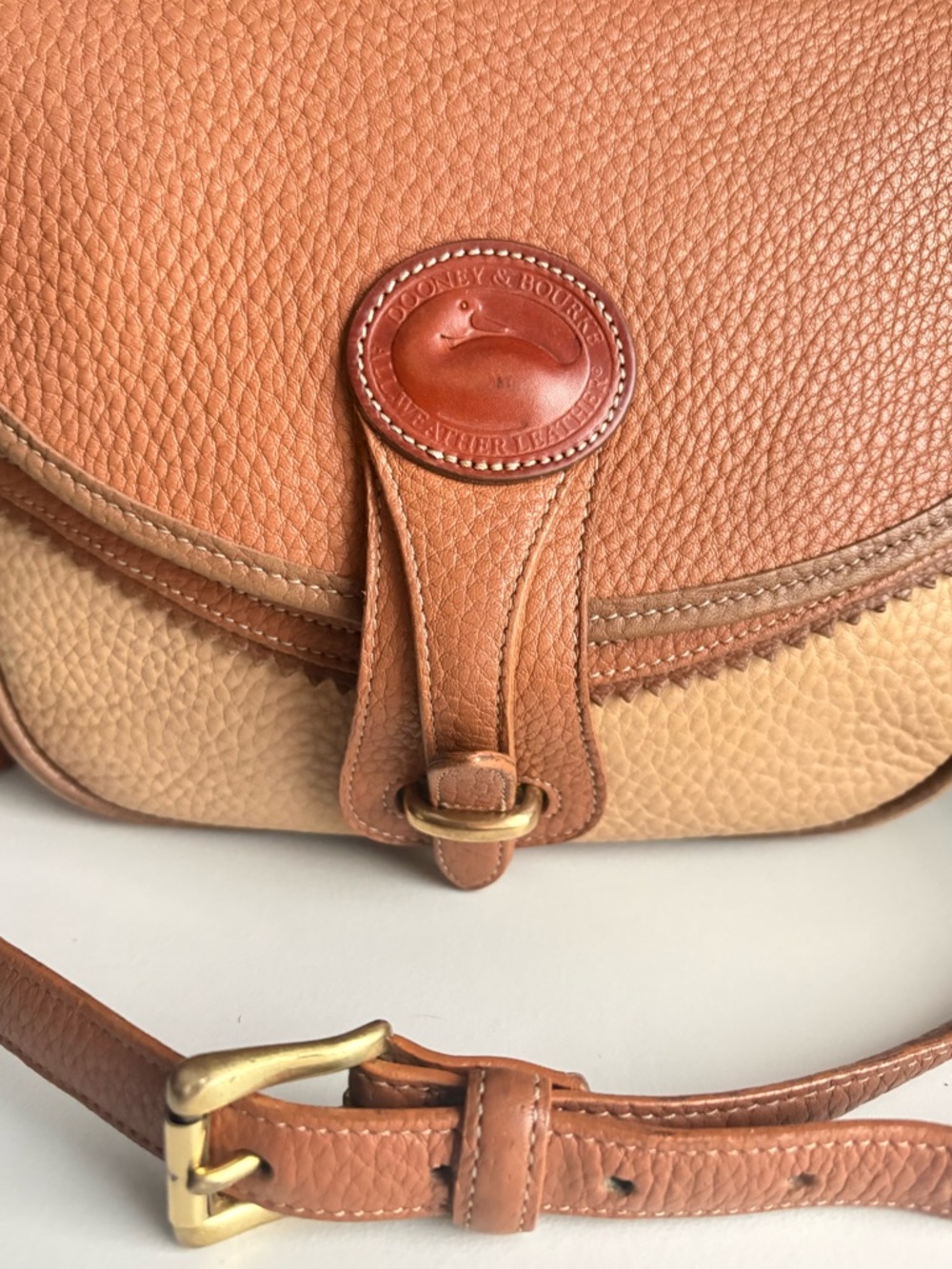 Dooney and Bourke awl Leather Teton Multi Color Crossbody - Picture 4 of 16